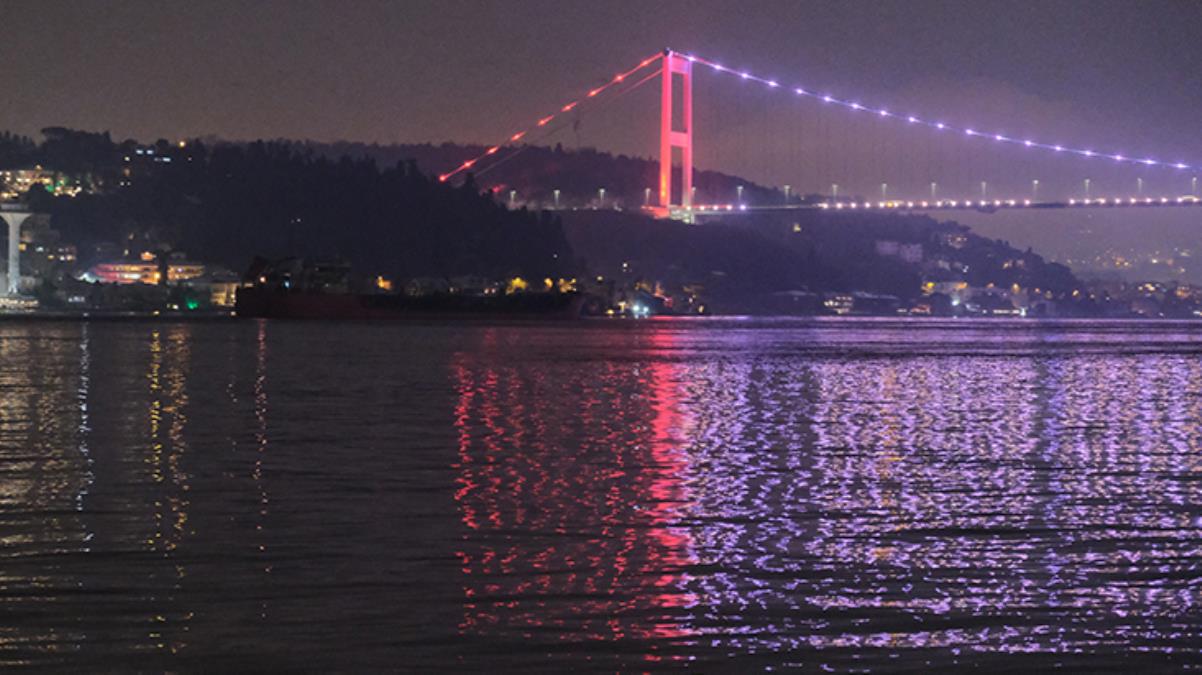 Rusya'dan ayçiçek yağı taşıyan ikinci gemi de İstanbul'a ulaştı