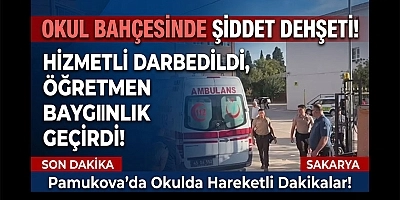 Artık Bu Şiddeti Durdurun!