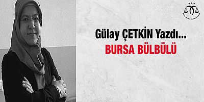 Bursa Blbl
