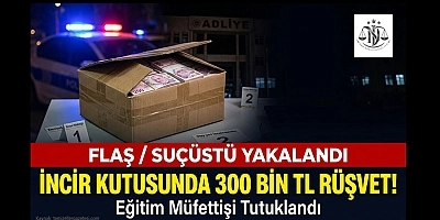 Eğitim Müfettişi Suçüstü Yakalandı!